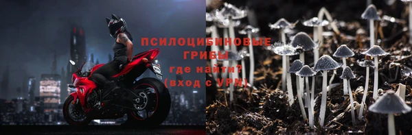 дживик Балахна